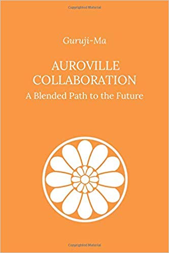 Auroville Collaboration: A Blended Path to the Future