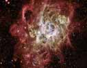 NGC604 - Firestorm of Starbirth in a Local Galaxy