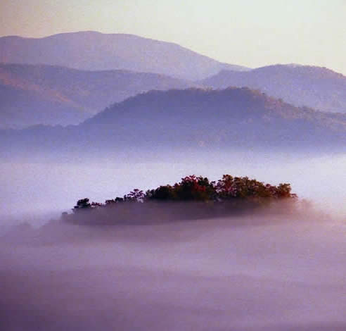 Island in the Mist