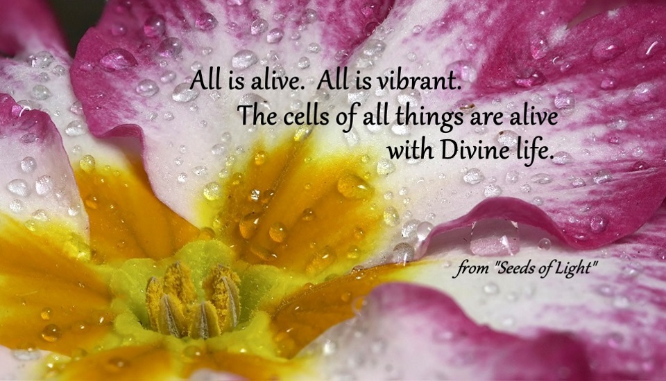 All is alive. All is vibrant. The cells of all things are alive with Divine life.