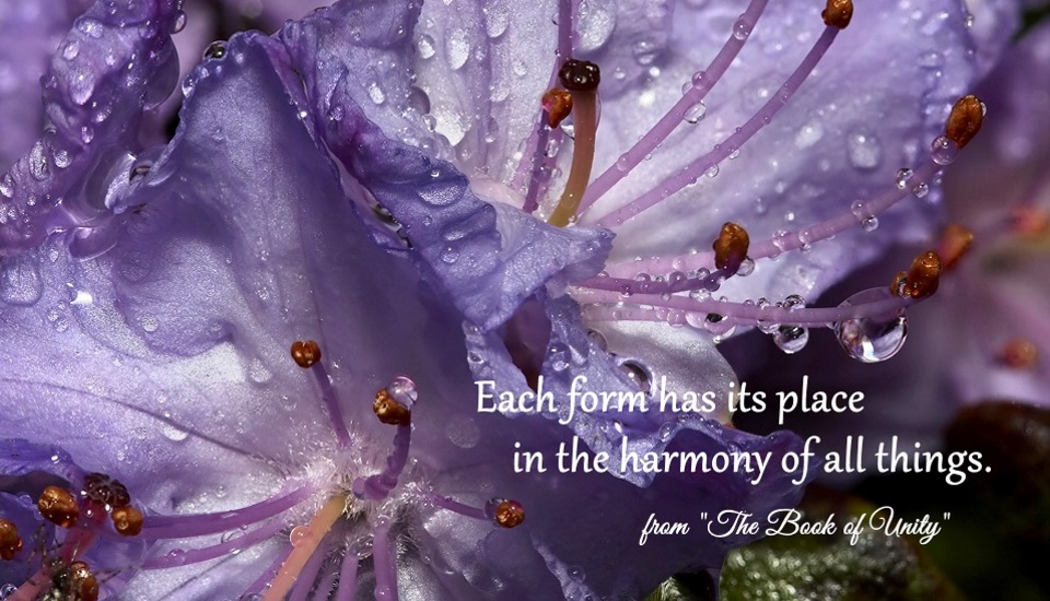 Each form has its place in the harmony of all things.